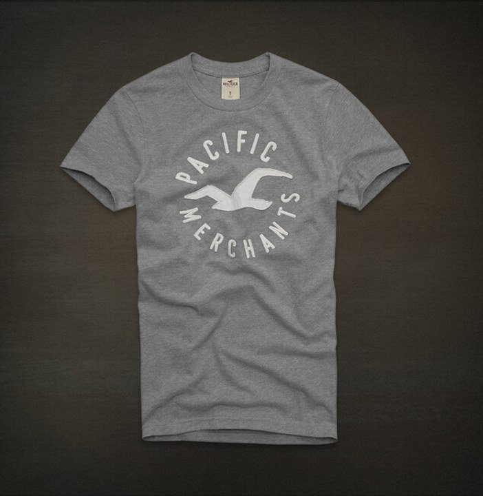 Tee shirt Hollister Gris Homme
